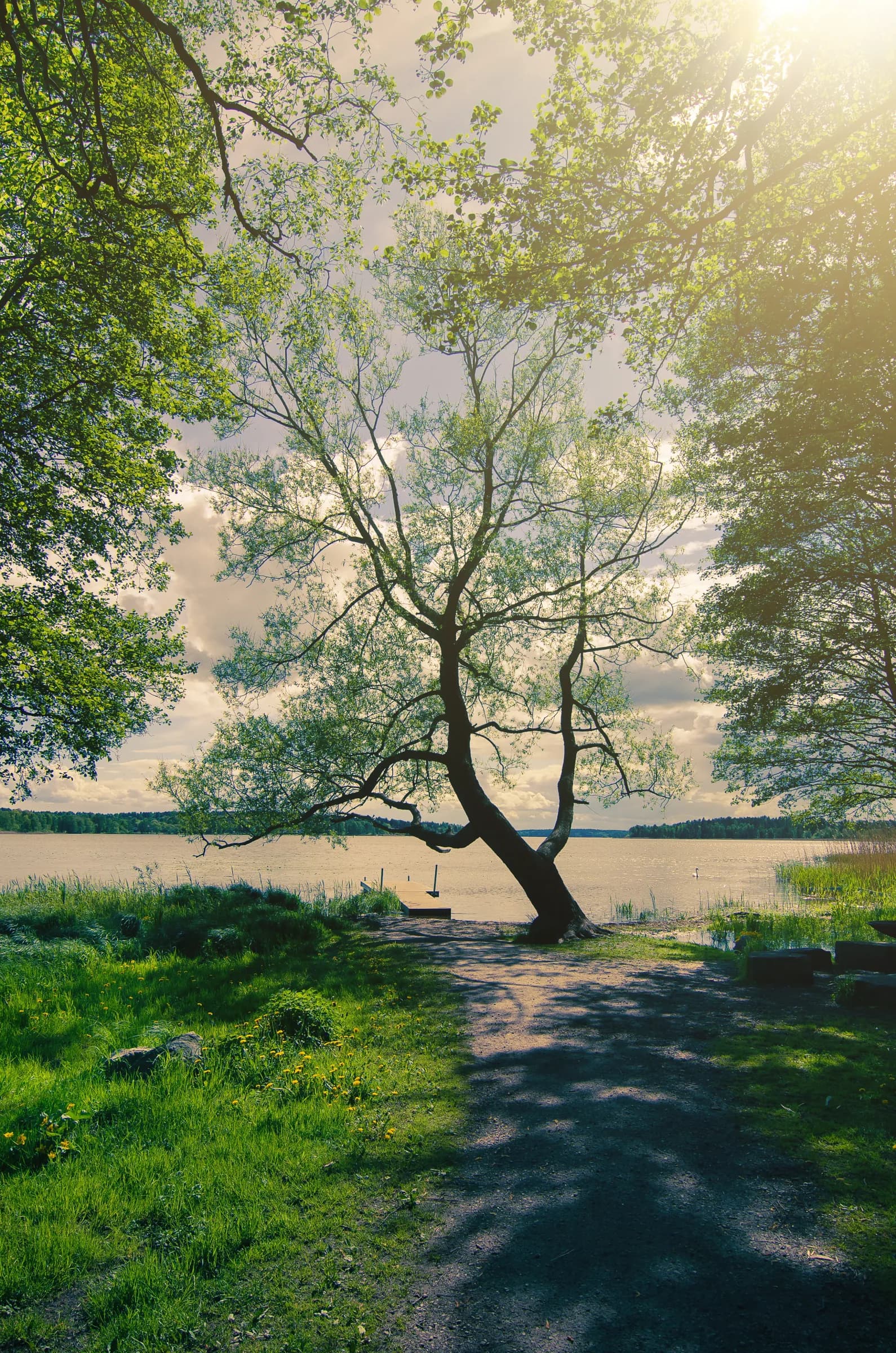 Peaceful Scandinavian spring landscape reflecting our integrated practice