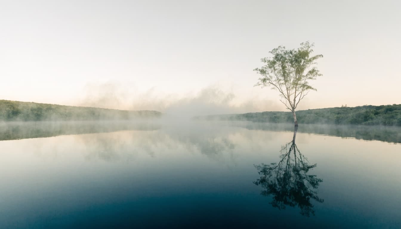 A still lake at dawn with a lone tree mirrored in calm, misty water